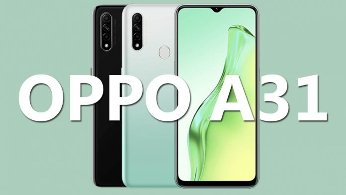 OPPO A31
